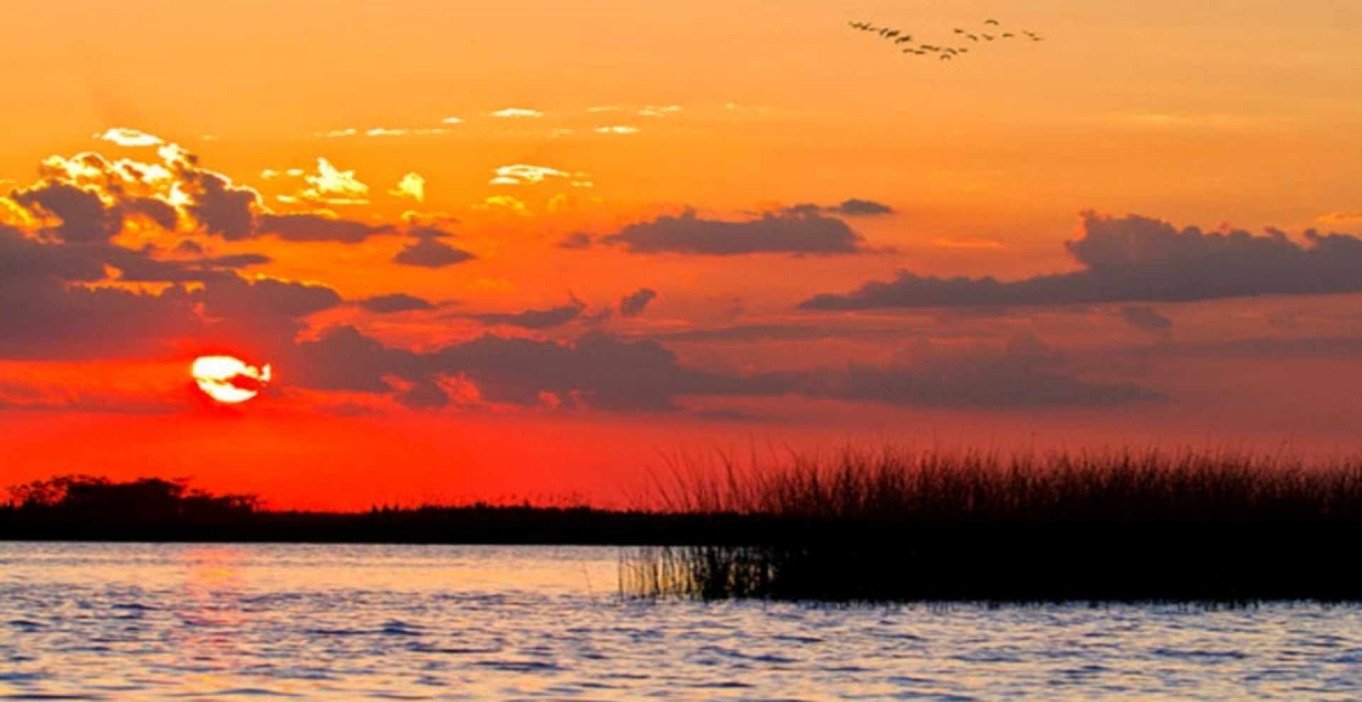esteros del ibera de noche