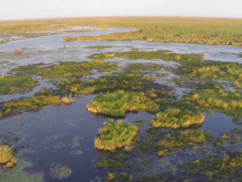Esteros del Iberá, la naturaleza argentina
