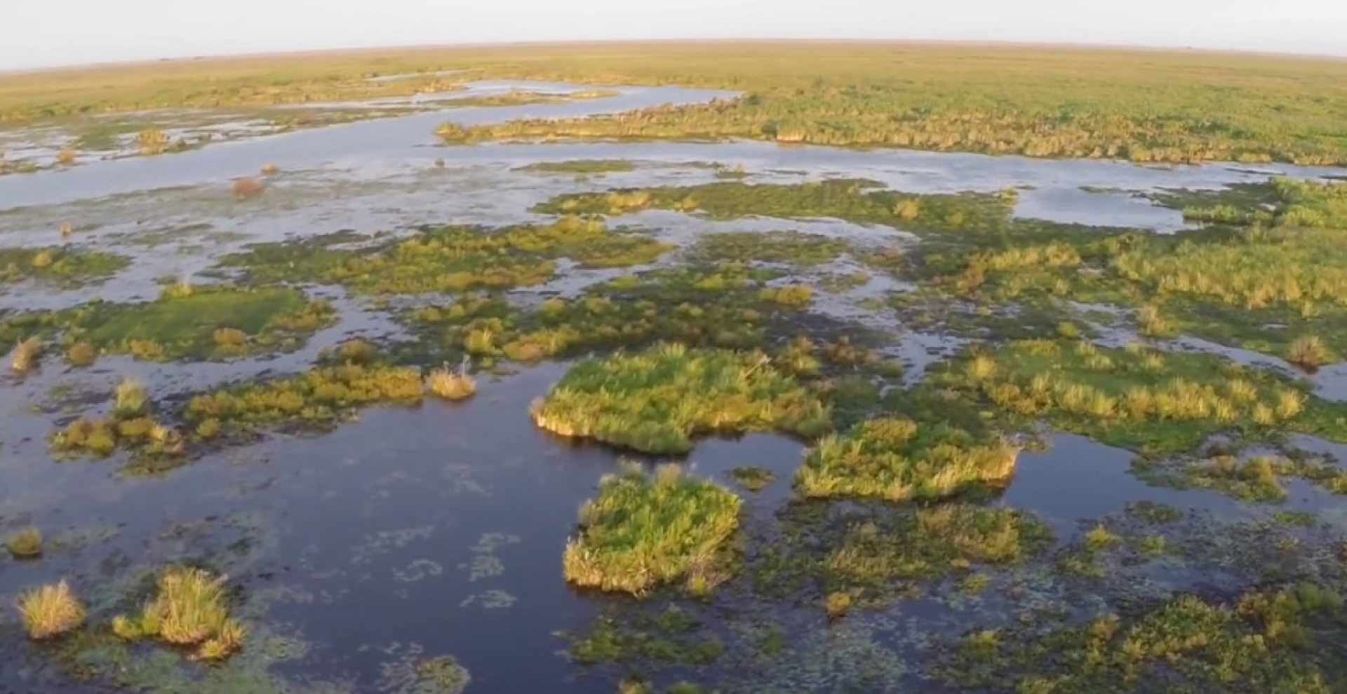 Esteros del Iberá, la naturaleza argentina